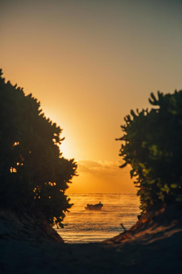Glamp Ikal Tulum Otel Dış mekan fotoğraf